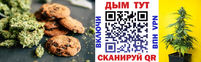 Купить где  Гай  Cannafood конопля 