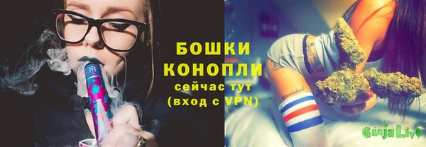 дмт Богданович