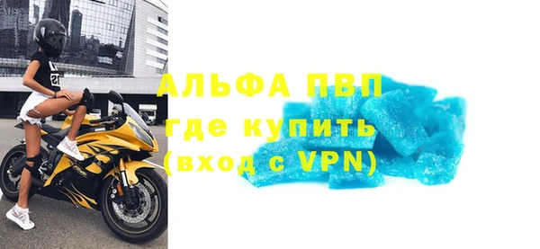 дмт Богданович