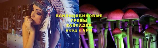 дмт Богданович