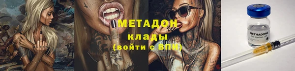 дмт Богданович