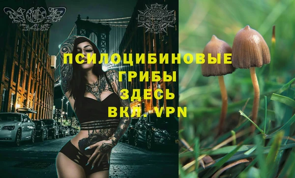 кристаллы Богородицк