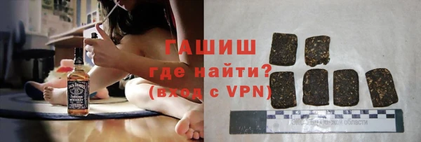дмт Богданович