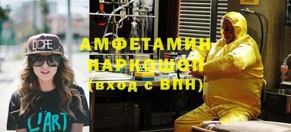 дмт Богданович