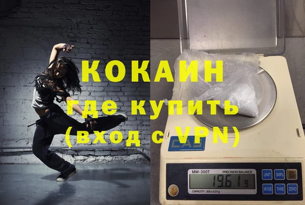 дмт Богданович