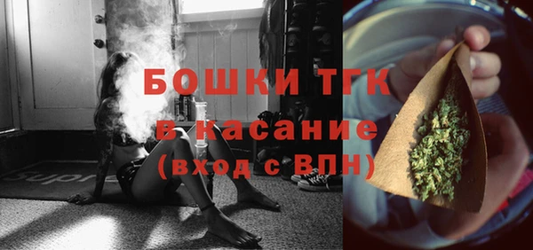 дмт Богданович