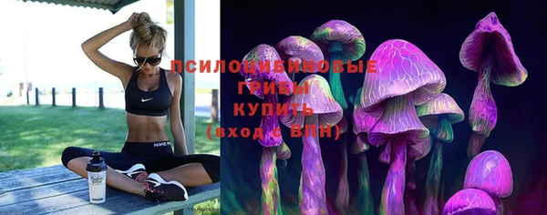 кристаллы Богородицк