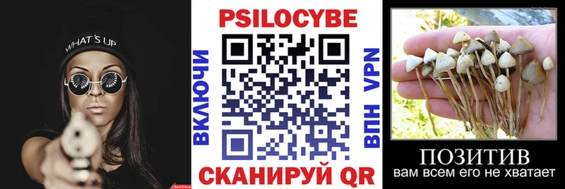Галлюциногенные грибы мицелий  Купить закладки  Гай 